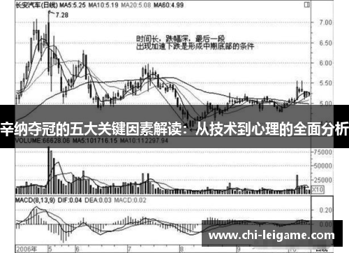 辛纳夺冠的五大关键因素解读：从技术到心理的全面分析