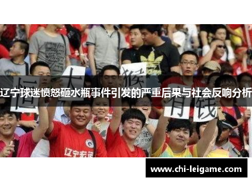 辽宁球迷愤怒砸水瓶事件引发的严重后果与社会反响分析