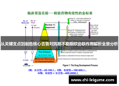 从关键支点到制胜核心吉鲁对阵那不勒斯欧协联作用解析全景分析 从关键支点到制胜核心吉鲁对阵那不勒斯欧协联作用解析全景分析