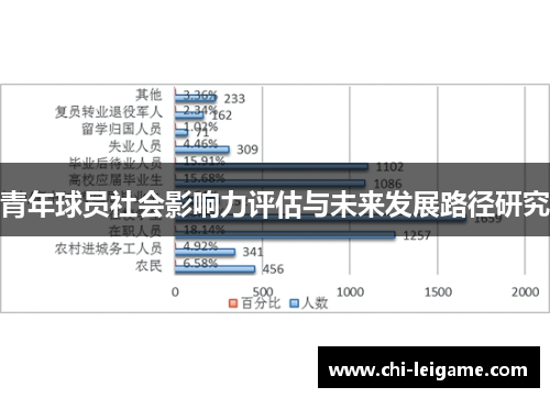 青年球员社会影响力评估与未来发展路径研究