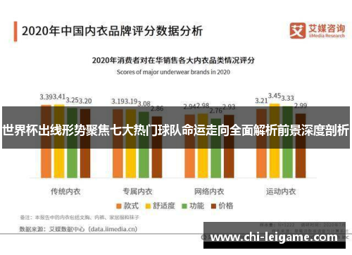世界杯出线形势聚焦七大热门球队命运走向全面解析前景深度剖析
